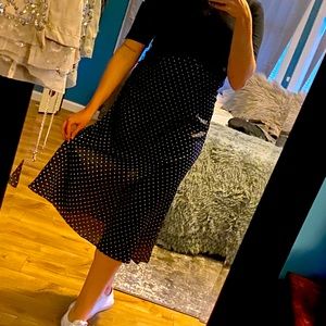 Zara Polka Dot Dress